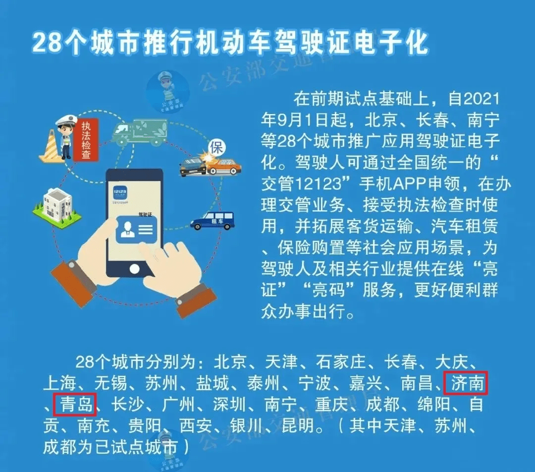 新澳2025精准正版免費資料,精选解析、落实与策略